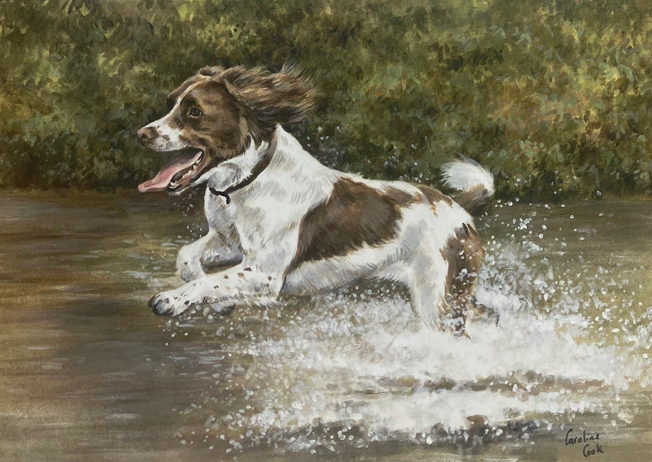 Caroline Cook Equestrian Cards image 7